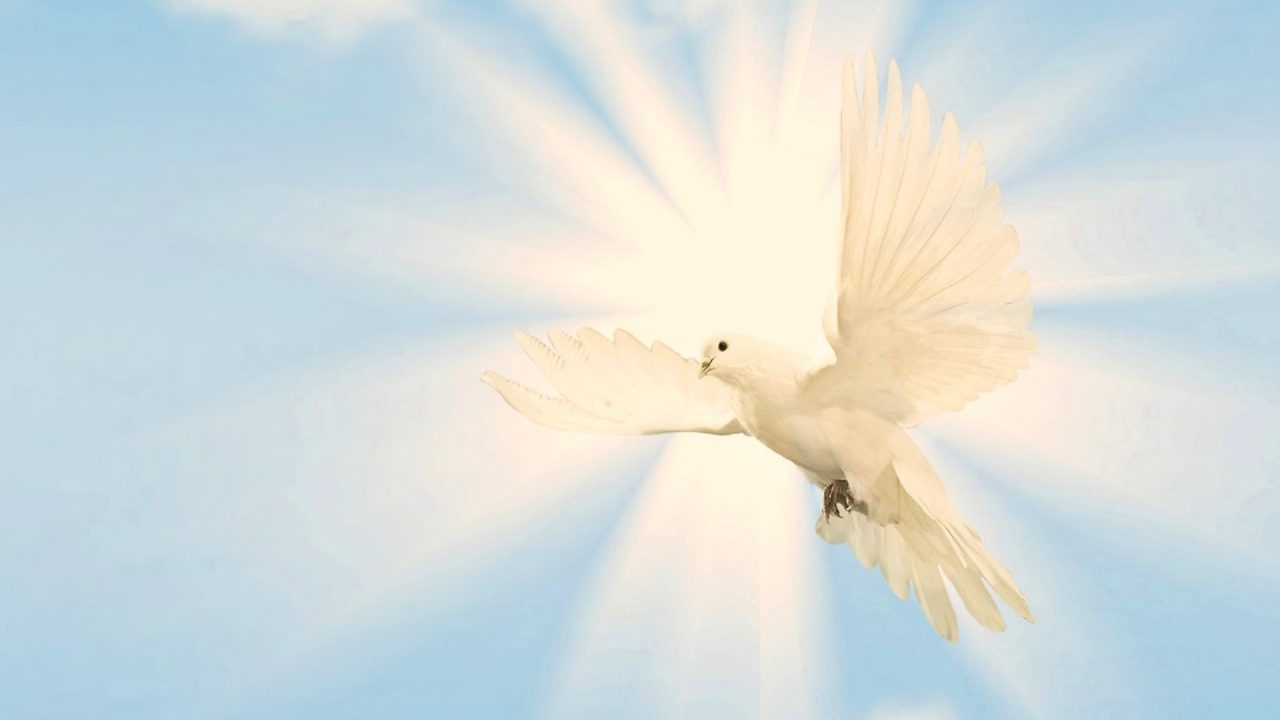 Novena Roh Kudus, Novena Pertama Murid Yesus